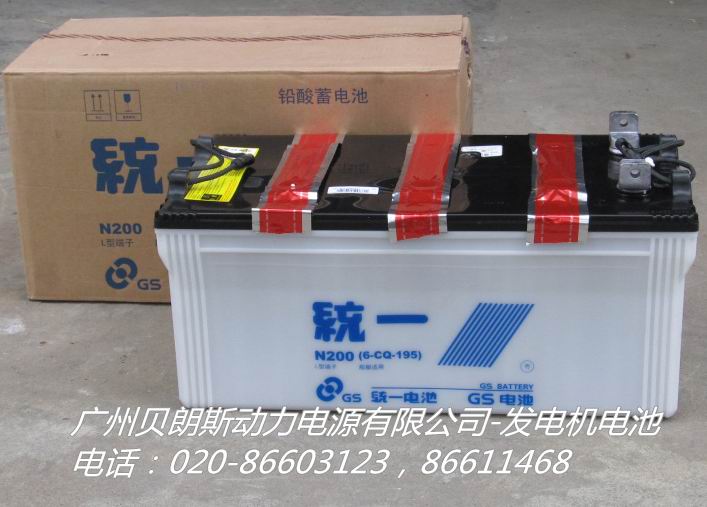潍柴发电机蓄电池N200,12V200AH